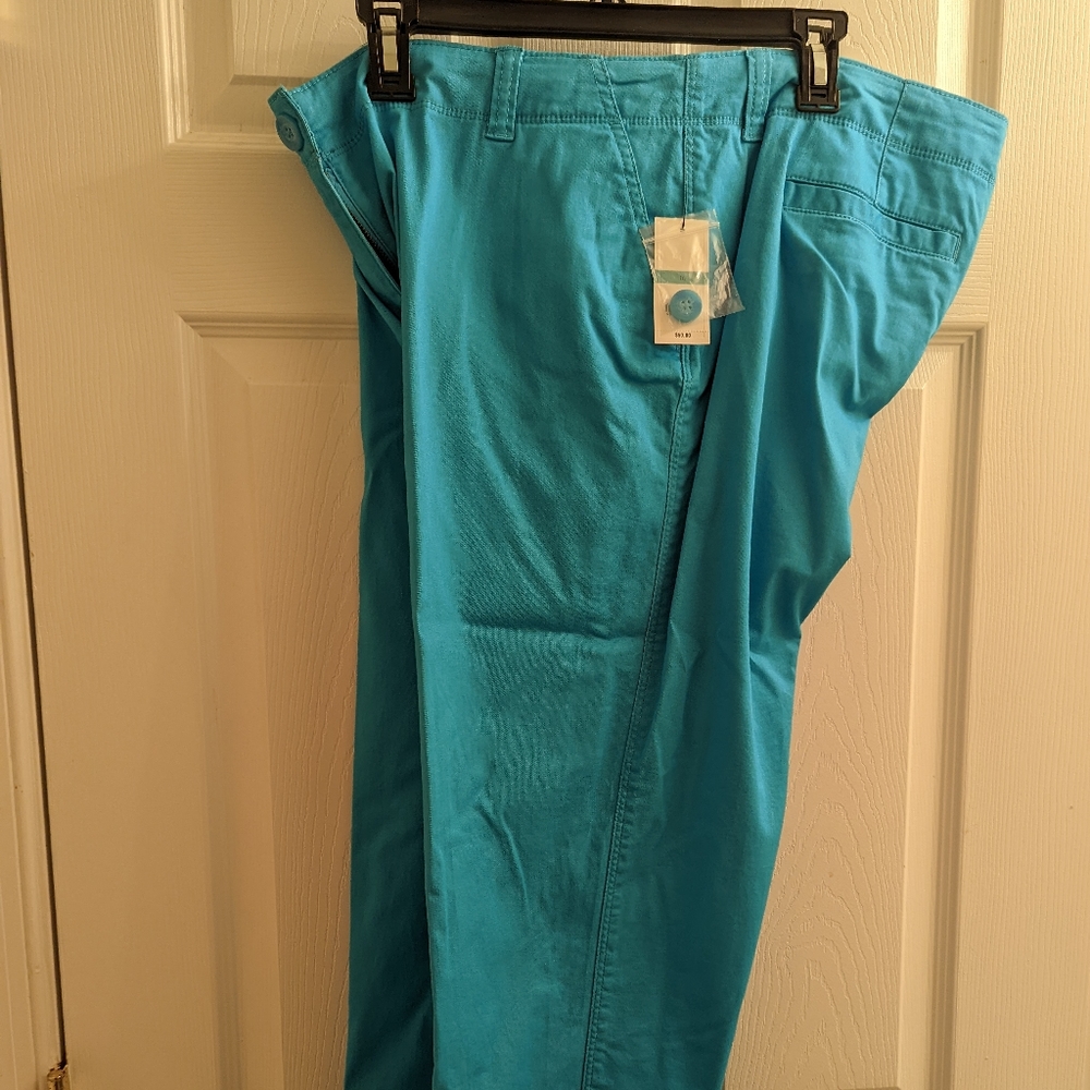 Crown & Ivy turquoise pants